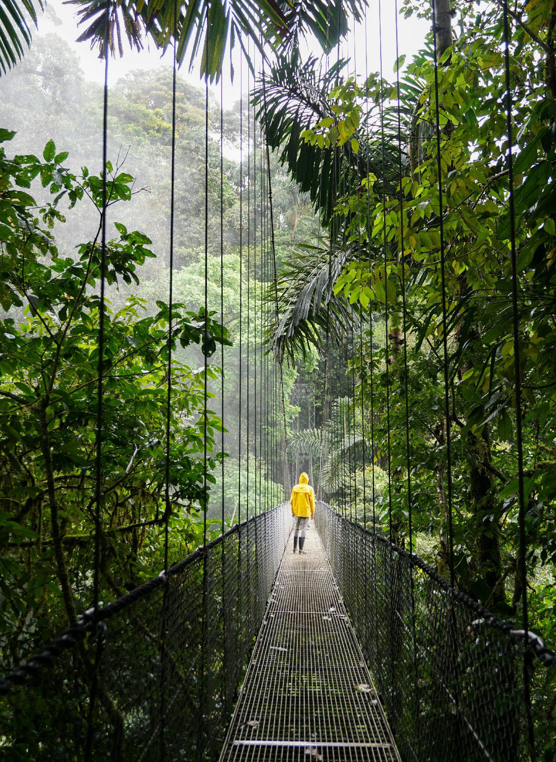 Ecotourism