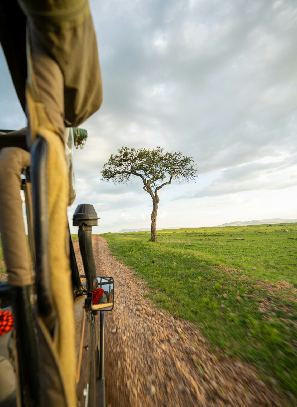 Escorted tour